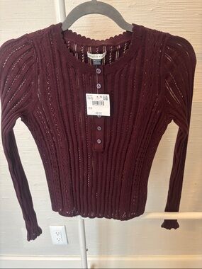 NWT American Eagle Outfitters Burgundy Knit Button-Front Sweater